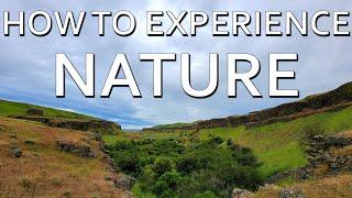 How to Experience Nature: Is There a Right Way?