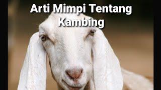 8 Arti Mimpi Tentang Kambing Menurut Berbagai Sumber