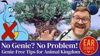 No Genie? No Problem! How to Do Everything at Animal Kingdom Without Fancy Perks at Disney World