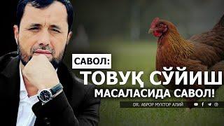 ТОВУҚ СЎЙИШ МАСАЛАСИДА САВОЛ! - DR. АБРОР МУХТОР АЛИЙ