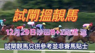 12月29日 沙田B + 2 泥跑道試閘搵靚馬