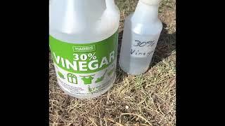 30% Vinegar ConcentrateWeed KillerHarris Products Group TEST/REVIEW Wow! Really works for me!