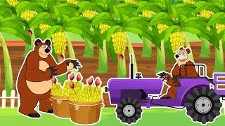 The Bear Farm: Bear Farmer Harvests Bananas to Deliver to Customers by Truck | Farm Vehicles