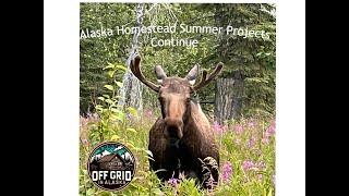 Alaska Homestead Summer Projects Continue