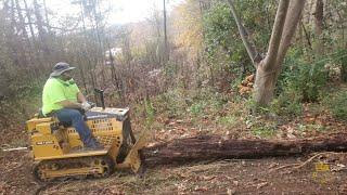 Clearing brush and a fallen tree with a Struck RS1000 Magnatrac