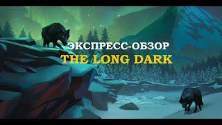 Обзор The Long Dark для Nintendo Switch