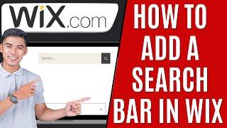 How To Add a Search Bar in Wix [Quick Guide]