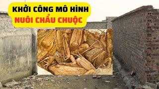 Tiếp Tục Khởi Công Xây Dựng Mô Hình Nuôi Chẩu Chuộc  – Trại Giống Đông Sơn