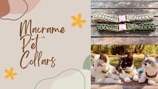 Macrame Pet Collars / DIY Cat Collars / DIY Dog Collar