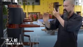 Mai gei wong wing chun / master Wong nim yi in action