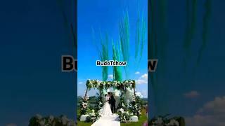 цветной дым на церемонию выездную регистрацию свадьбу #wedding #fireworks #свадьба #love #live