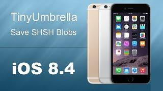 TinyUmbrella Save iOS 8 4 SHSH Blobs - Downgrade iOS 8.4.1