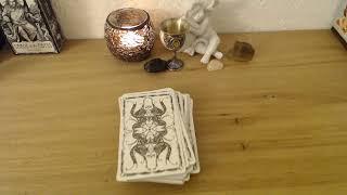 Tarot Live ab 19 Uhr, bitte die Fragen max 30 Min früher in den Chat stellen