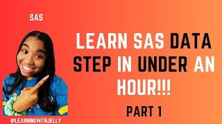 SAS DATA STEP Crash Course:  Learn SAS in Under an Hour!