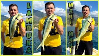 BALIK ÇEŞİTİ YİNE BOL #mahimahi #jigging #arsuz #part3