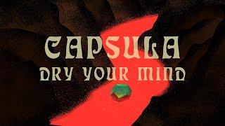 #Capsula 'Dry Your Mind' taken from the new album #Bestiarium