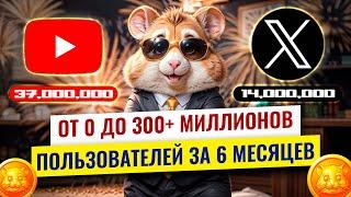 История Hamster Kombat ️ Hamster Academy