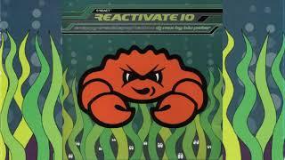 Reactivate 10 - Snappy Cracklepop Techno - Mixed by Blu Peter - 1995