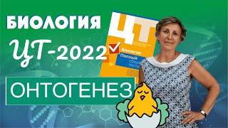 ЦТ-2022 * Биология * Онтогенез #цтбиология #цт2022 #подготовкакцт  #подготовкакцтбиология #урок #цт