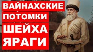 Вайнахские потомки шейха Яраги. Уважение и добрососедство мусульман Кавказа