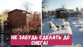 НЕ ЗАБУДЬ СДЕЛАТЬ перед зимой в саду и огороде