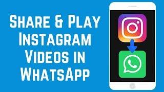 How to Share & Play Instagram Videos in WhatsApp on iOS/Android