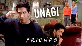 Unagi | Friends