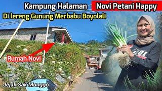 adem dan indah | Kampung halaman Novi petani happy | petani muda di lereng gunung Merbabu