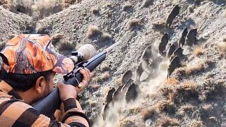 LONG RANGE PERFECT SHOTS - UZUN MESAFE SÜPER ATIŞLAR - WILDSCHWEINJAGD - CHASSE AU SANGLIER