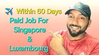 Paid Job Flight Within 60 Days For Singapore & Luxembourg Countries 2024 #singapore #luxembourg