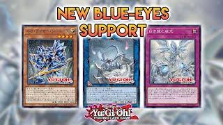 The PERFECT Blue-Eyes Support Doesn't End! Yu-Gi-Oh!