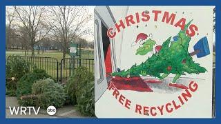 Recycled Christmas trees are a gift to local communities