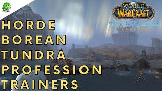 Wotlk Classic Horde Borean Tundra Profession Trainers