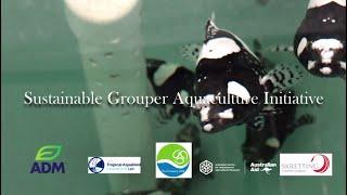 Sustainable Grouper Aquaculture Initiative