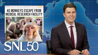 Weekend Update: 43 Monkeys Escape Research Facility, Moo Deng's New Rival - SNL