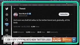 Elon Musk looking into new Twitter logo