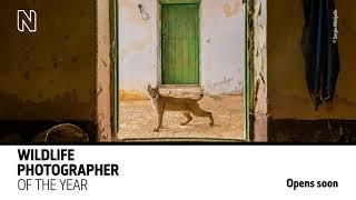 Trailer „Wildlife Photographer of the Year 2021“