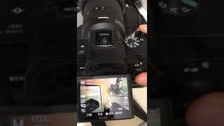 back button focusing or half pressed to focus? Why not BOTH?! Sony a7iii