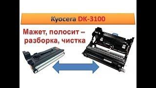 #63 Чистка Kyocera DK-3100 / DV-3100  | РАЗБОРКА - ВОССТАНОВЛЕНИЕ | Как разобрать
