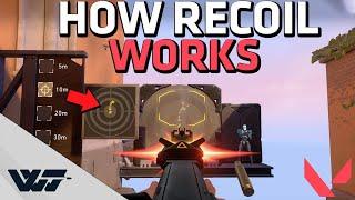 HOW TO CONTROL RECOIL in VALORANT - Learn spraying down enemies with rifles