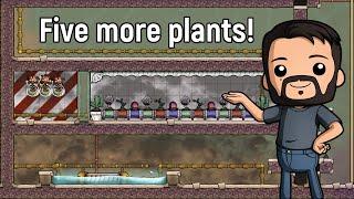 How not to plant Sporchids | Ep 16 | ONI - Farm - Verdante