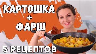 Всего-то КАРТОШКА и ФАРШ, а так вкусно! 5 рецептов из картошки и фарша для ленивых