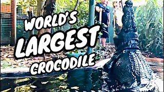 BIGGEST CROCODILE IN THE WORLD