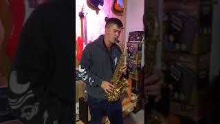 Test Stewart Ellis Pro Series Alto Sax Gold - Jimmy Market