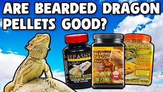 Bearded Dragon Diet - Are Pellets Good?