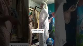 Viral! pengantinku barbar #shorts #viral #ngakak #lucu