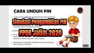 Simulasi dan Tips Pengambilan PIN PPDB