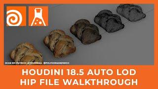 HIP File Walkthrough: Houdini 18.5 Auto LOD Using SideFX Labs Toolset