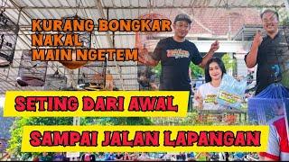 seting burung nakal dan kurang bongkar sampai jalan digantangan begini cara saya mensetingnya