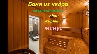 Баня из кедра: плюсы и минусы срубов и вагонки сибирского и канадского дерева